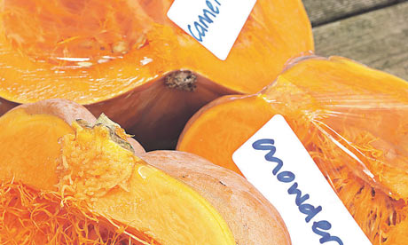 Pumpkins labelled for use