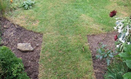 Lia Leendertz's newly-shrunk lawn