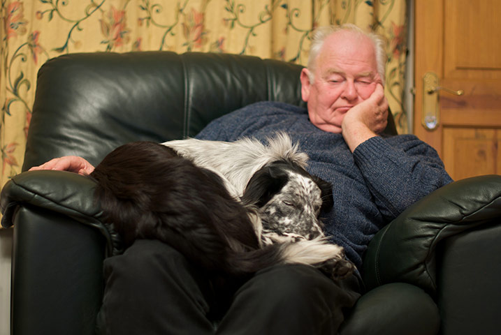 Dog photography: A runner up in the Man’s Best Friend category