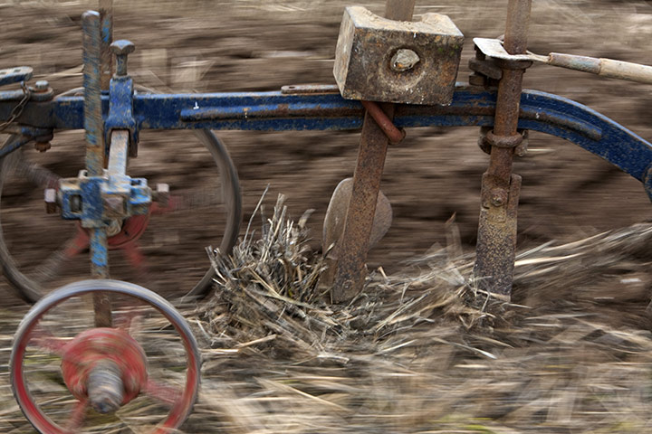 Ploughing lesson: A close-up of the plough