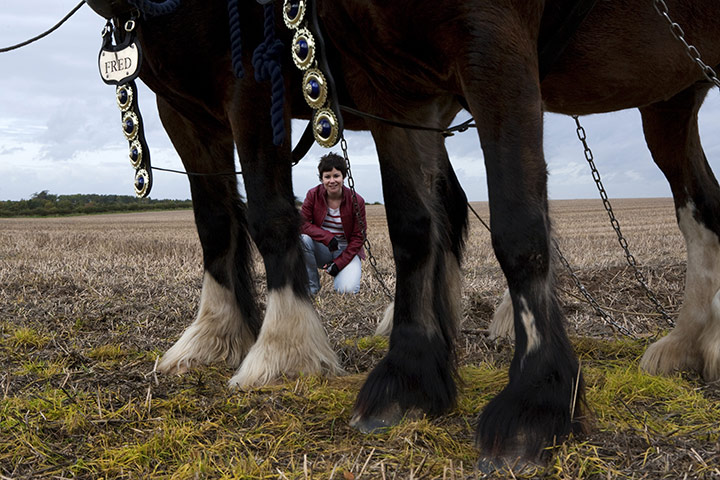 Ploughing lesson: Fred and Mary's legs