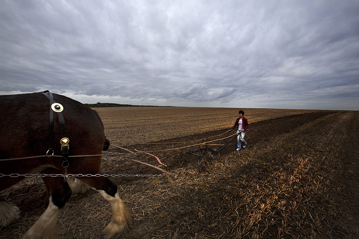 Ploughing lesson: Going it alone