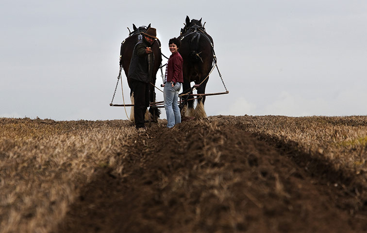 Ploughing lesson: Looking back