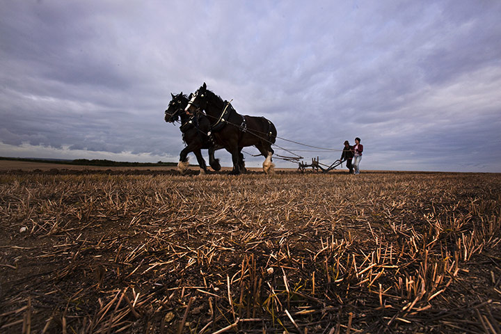 Ploughing: Ploughing