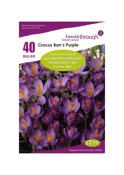 Breast cancer products: Crocus Barr's Purple