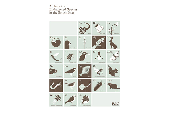 Christmas gift guide: Christmas gift guide: Endangered species poster