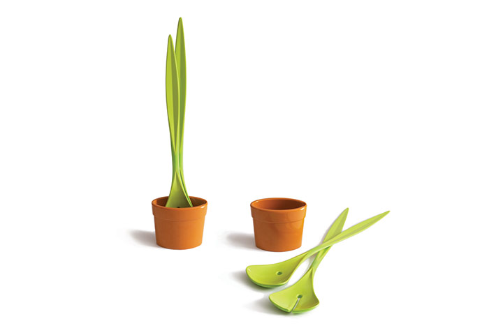 Christmas gifts indoors : salad plant