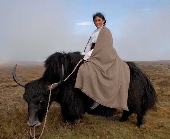 Drylands fashion: Draylands fashion - Kimberley Sciaki-Yeshi Norlha