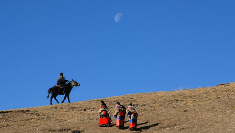 Drylands fashion: Drylands fashion: Workers and horse, Norlha