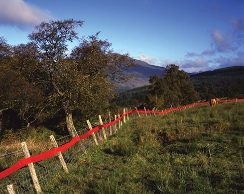 Knitting: Cordon, Cove Park