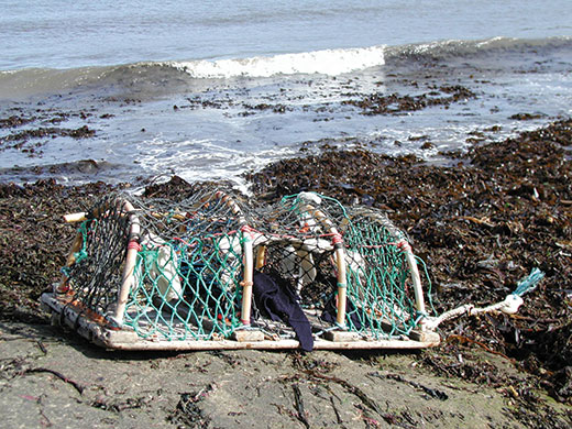 Knitting: Lobster creel