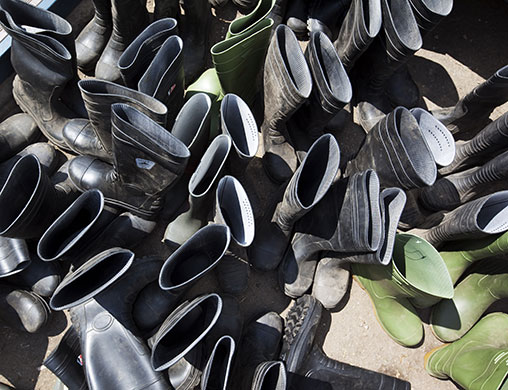 Chelsea flower show: Dozens of pairs of wellies