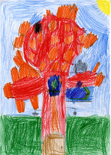 Fantasy tree drawings: Fantasy tree drawings