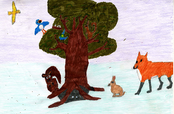 Fantasy tree drawings: Fantasy tree drawings
