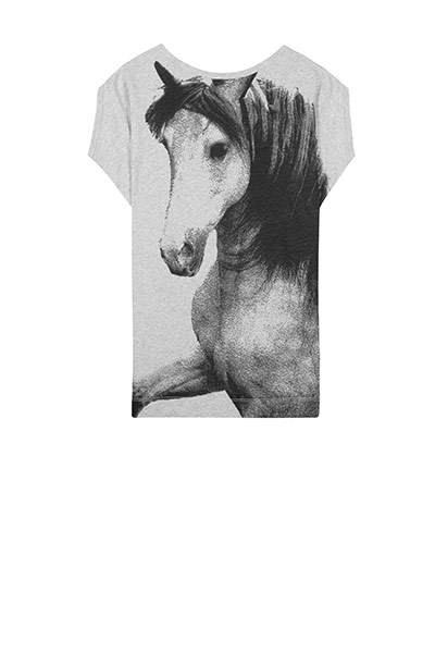 Trend Gallery: Trend Gallery