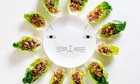 Student cookbook: Thai pork salad