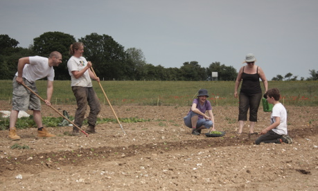 CSA volunteers at the Oak Tree Low Carbon Farm