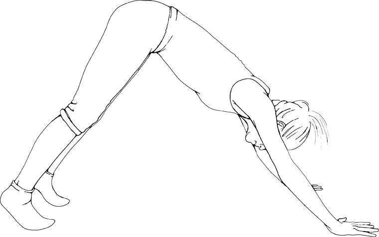 Flexibility exercises: Downward dog