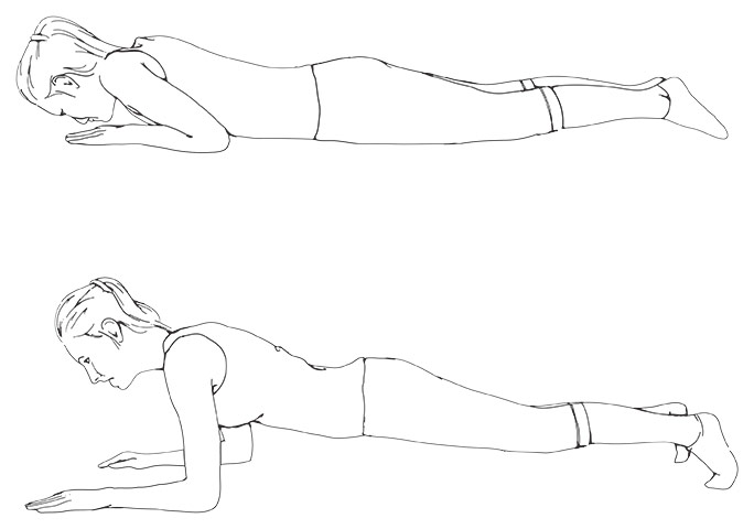 Flexibility exercises: The plank