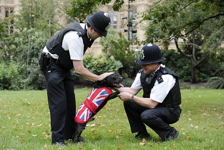 Westminster dog show: Police officers pose with Buster