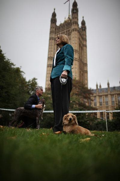 Westminster dog show: Parliamentary Dog Of The Year Show
