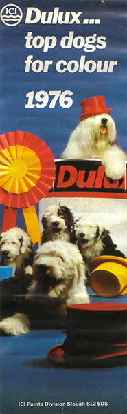 dulux dog teddy