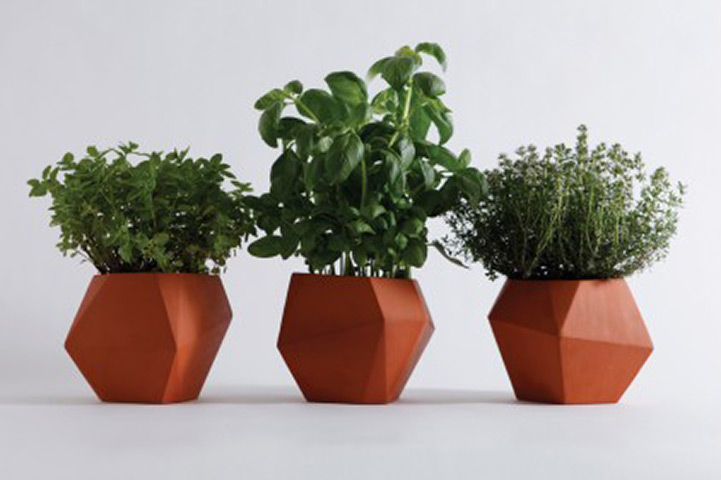 xmas gardens above 20: Herb terracotta pot