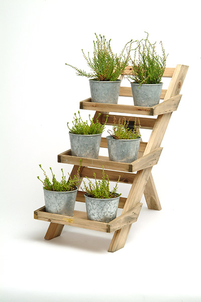 xmas gardens above 20: Pot ladder