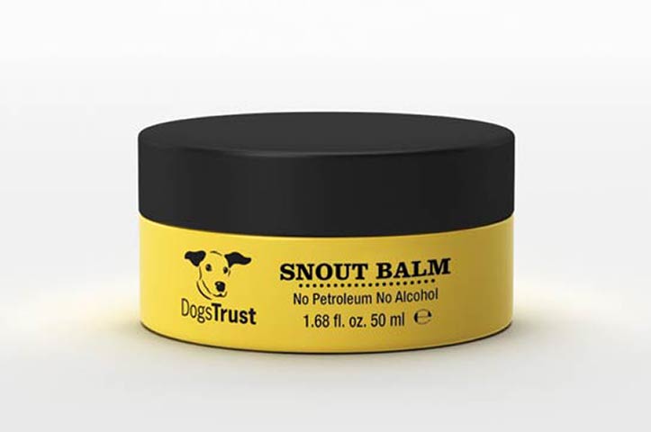 xmas pets under 20: Dog's Trust snout balm