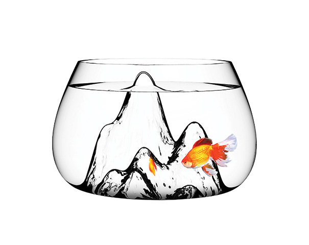 Xmas pets above 20: Fishscape glass bowl
