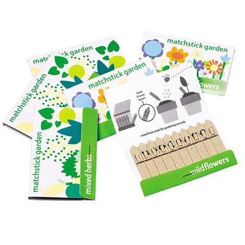 xmas stocking fillers: Matchstick garden