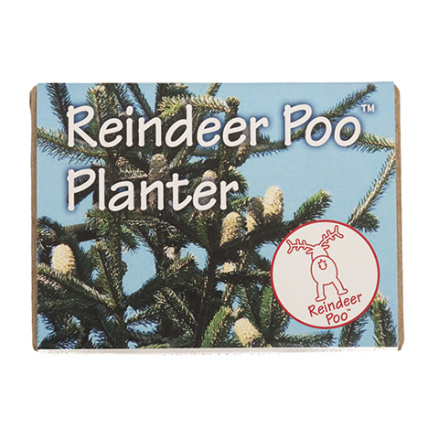 xmas stocking fillers: Reindeer poo planter