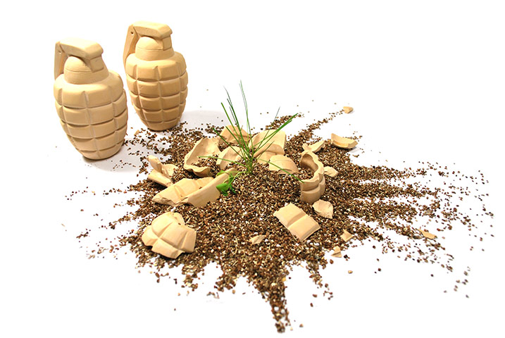 xmas gardens under20: Throw and grow grenades