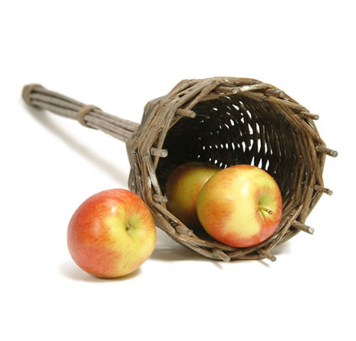 xmas gardens under20: Wicker apple picker