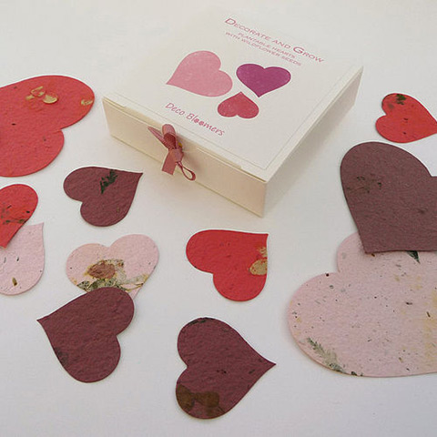 xmas gardens under20: Seed scatter hearts