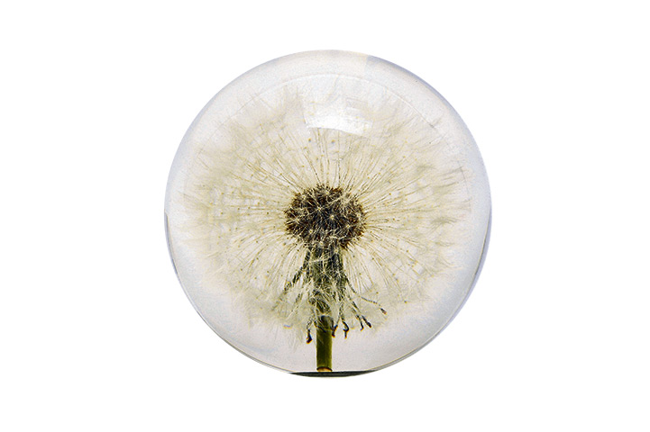Homeware Christmas gifts: Dandelion paperweight
