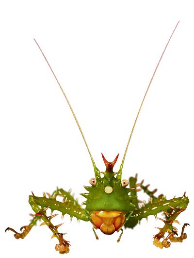 Eco and Charity Christmas: Love bug