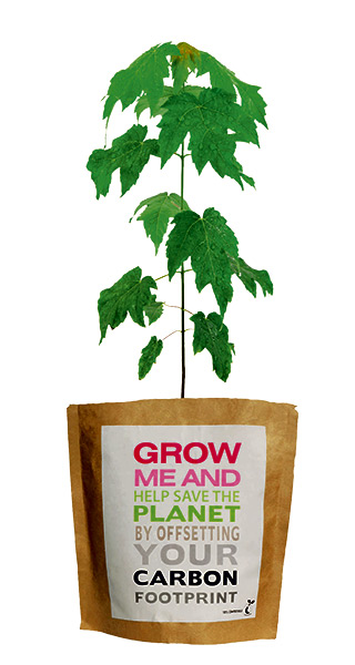 Gardening christmas gifts: Tree in a bag