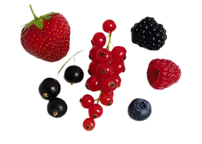 Night before christmas: Compact fruit garden voucher