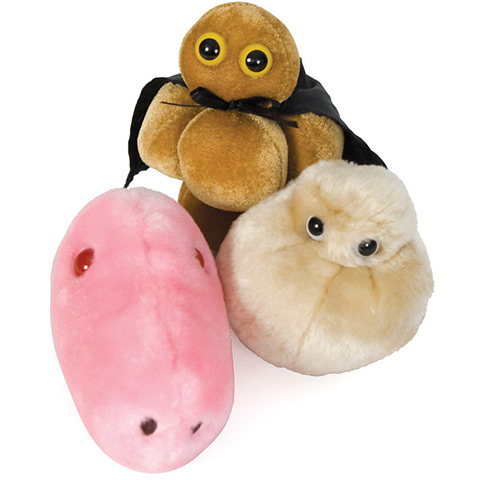 worst xmas decs: Giant microbes