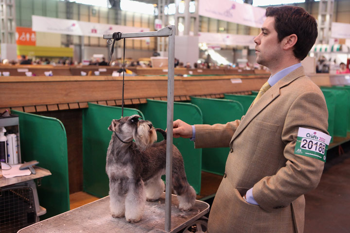 Crufts: Crufts