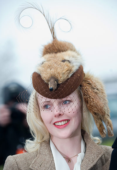 Cheltenham ladies day: A lady in a fox skin hat at Cheltenham Festival 