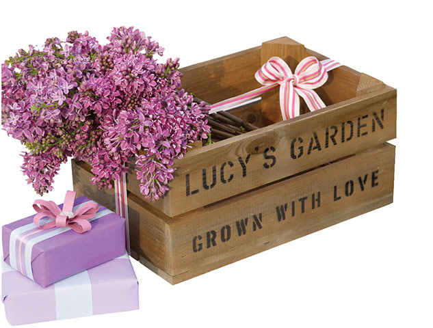 Not on the High Street: Personalised garden box