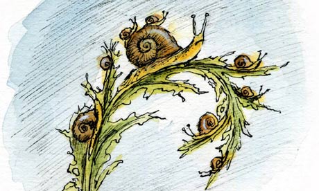 Cartoon: Spirals of despair by Greg Becker