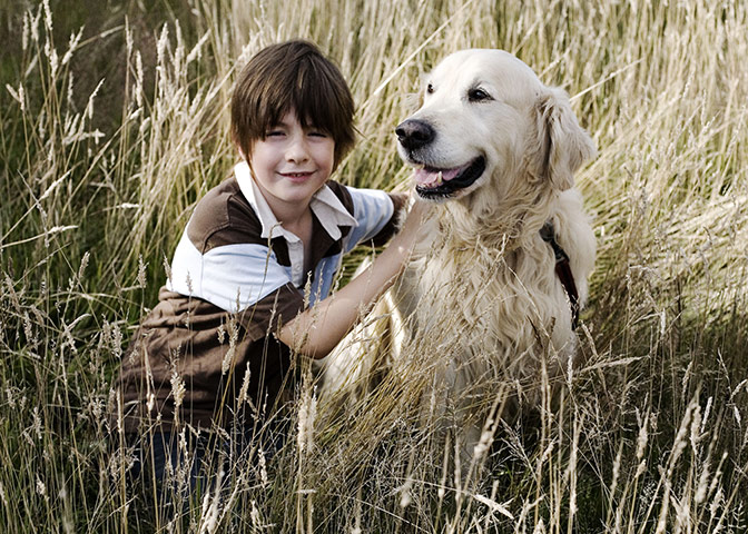 Dogs: A runner up in the Man's Best Friend category