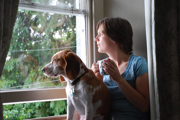 Dogs: A runner up in the Man's Best Friend category