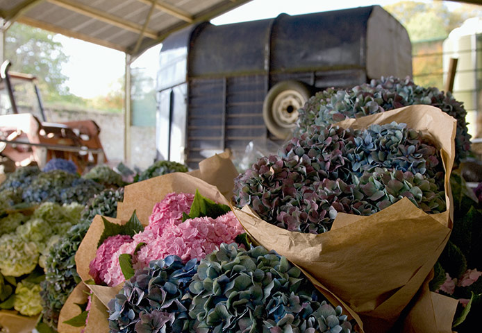 Mulberry 40th birthday: Mulberry 40th: Behind the scenes