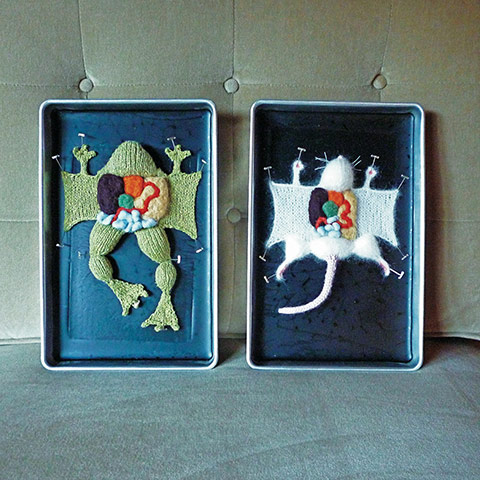 Astounding knits: Knitted frog