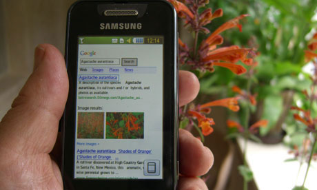 Using Google to search for plants via a mobile phone