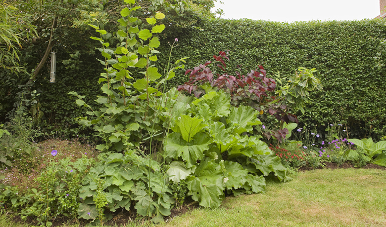 Lia Leendert'z garden